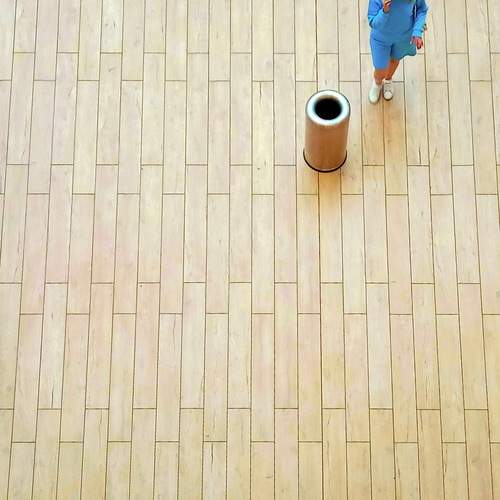 Фотография #11860365