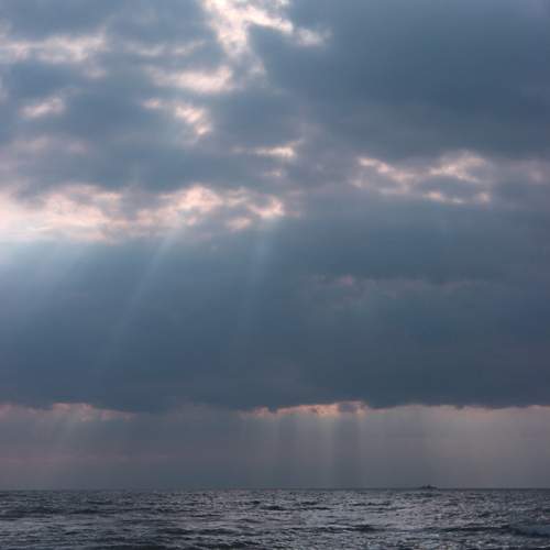 Photo #11860408