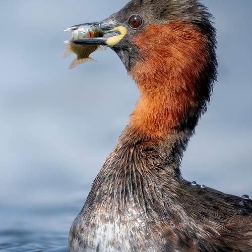 Фотография #11860434