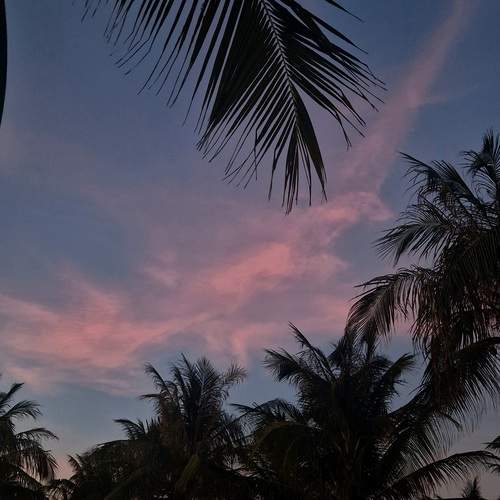 Photo #11860458