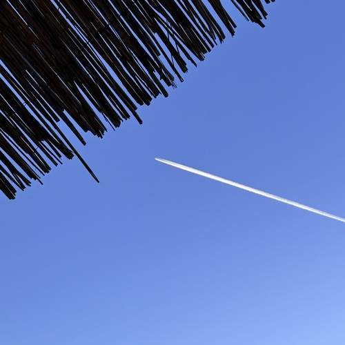 Photo #11860460