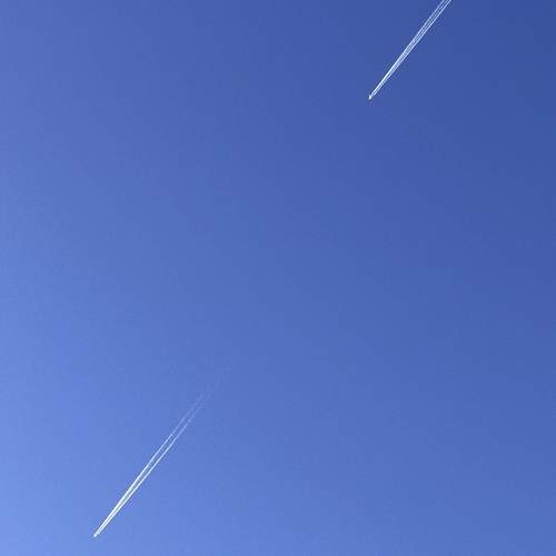 Photo #11860461