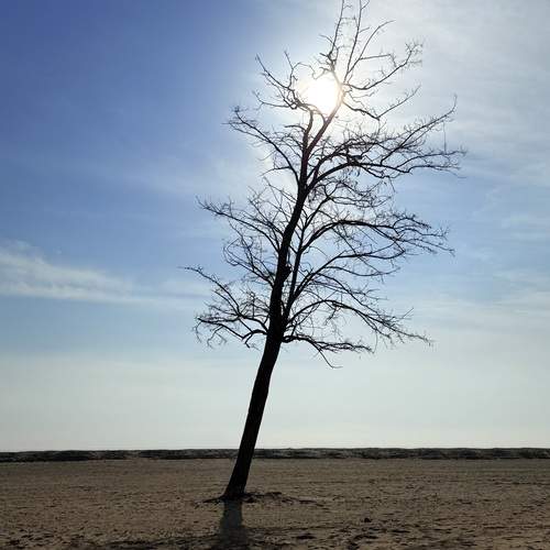 Photo #11860462