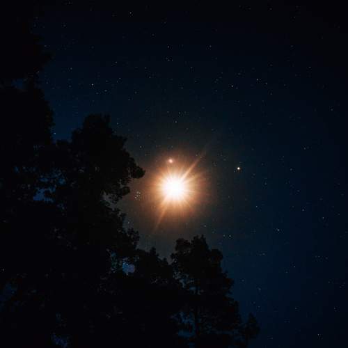 Photo #11860566