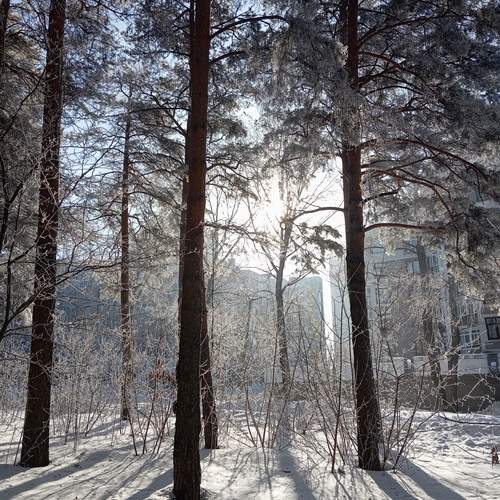 Photo #11860570