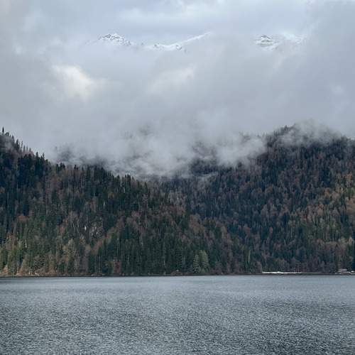 Photo #11860713