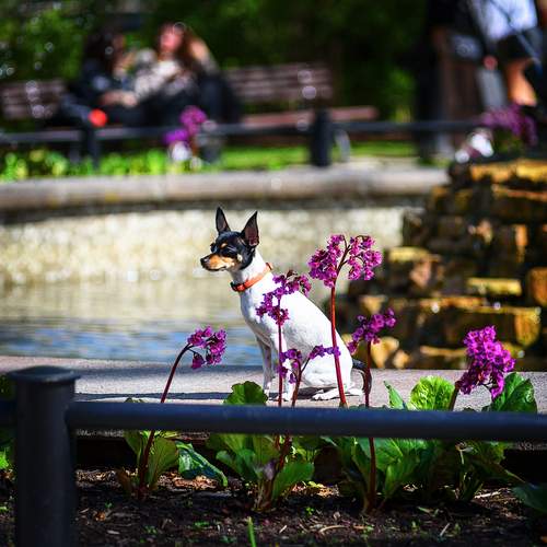 Photo #11860775