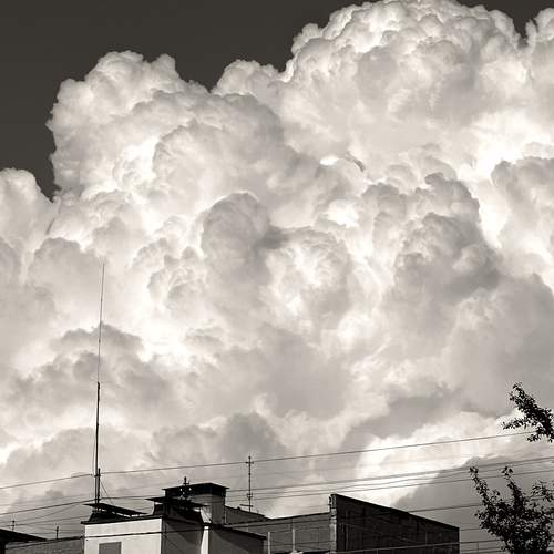 Photo #11860904