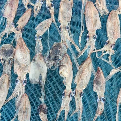 Photo #11860978