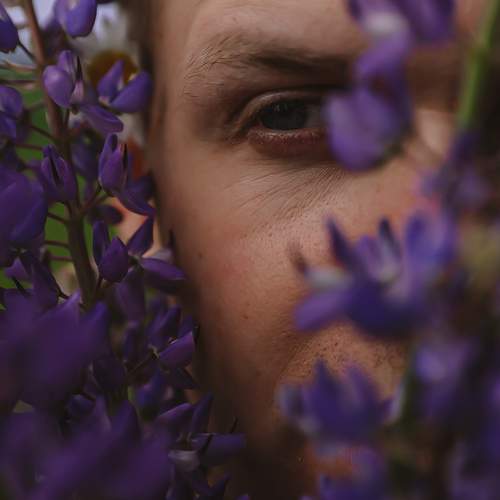 Photo #11861271
