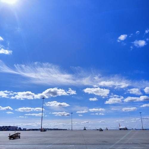 Photo #11861358