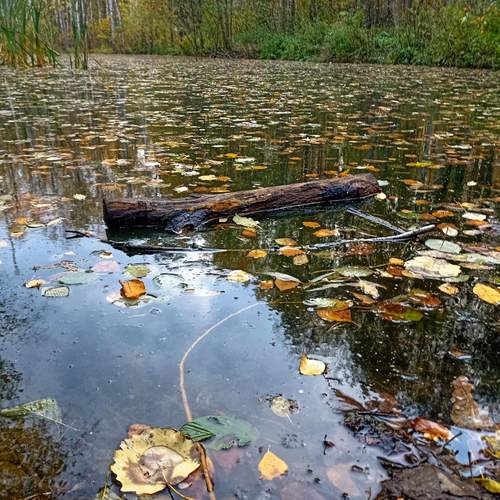 Photo #11861453