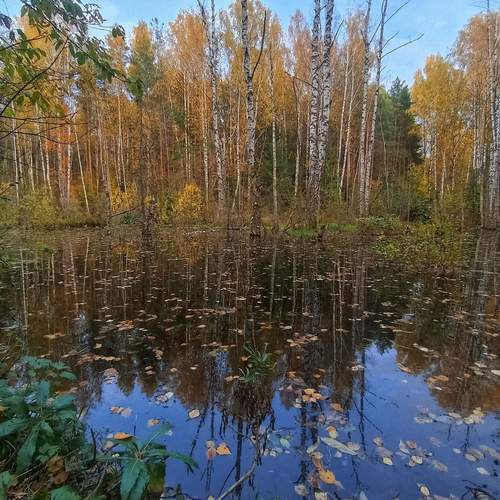 Photo #11861456