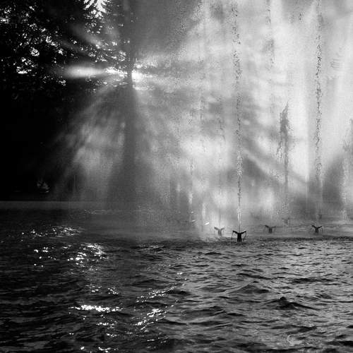 Photo #11861534