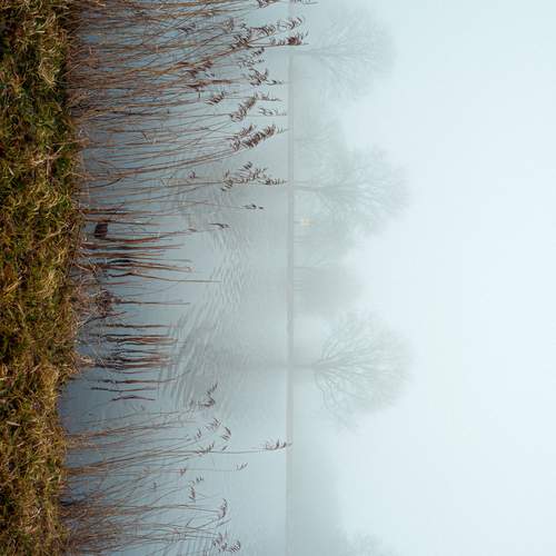 Foggy Amstel river. Heron