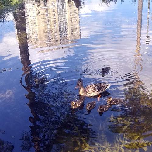 Photo #11861667