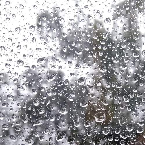 Photo #11861702