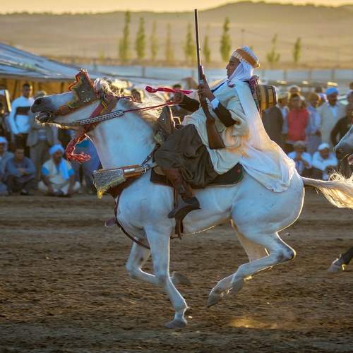 Photo #11861848