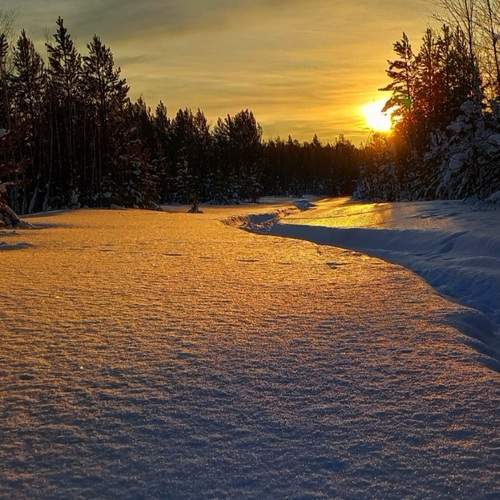 Photo #11861935