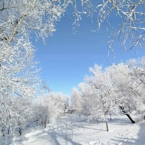 Photo #11861973