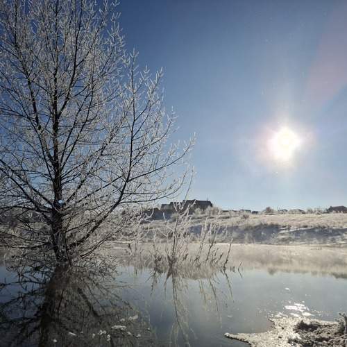 Photo #11861979
