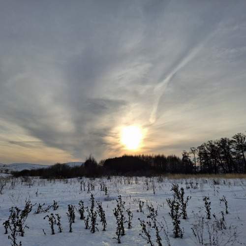 Photo #11862010