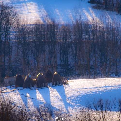 Photo #11862030