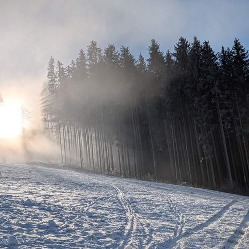 Photo #11862107