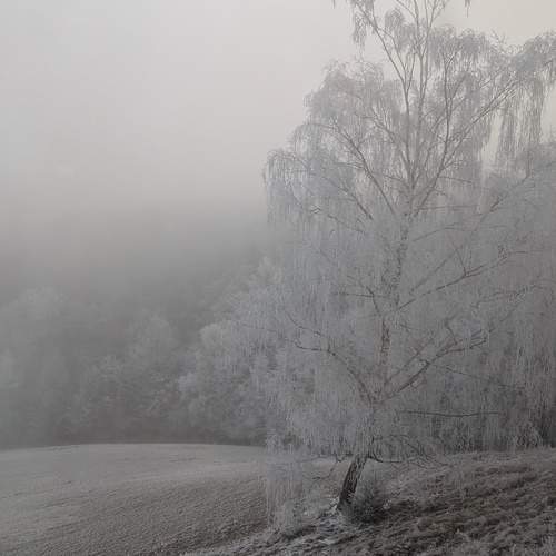 Photo #11862155