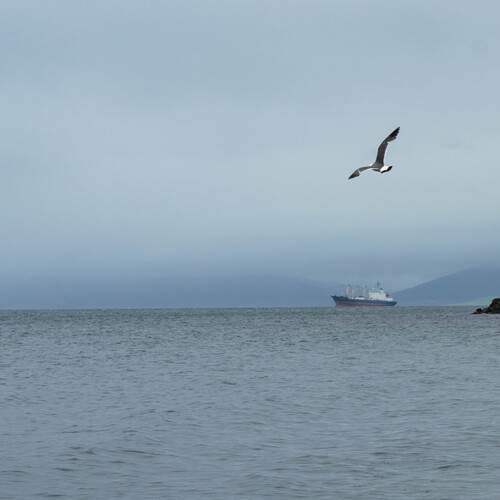Photo #11862231