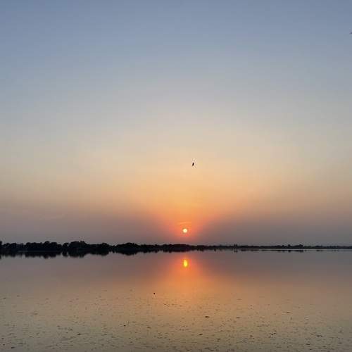 Photo #11862432