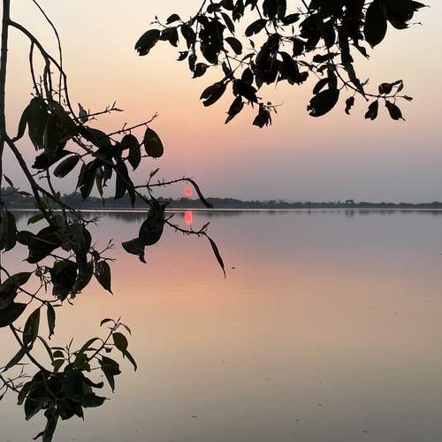 Photo #11862433