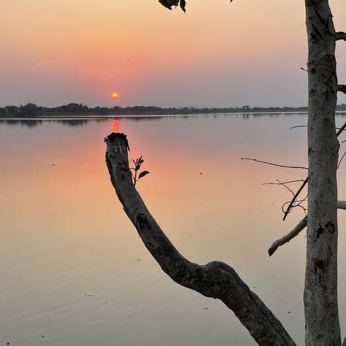 Photo #11862434