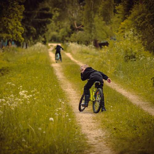 Photo #11862467