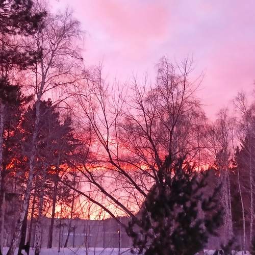 Photo #11862511