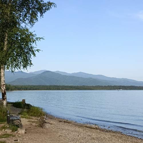 Photo #11862545