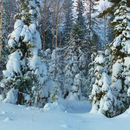 Photo #11862568