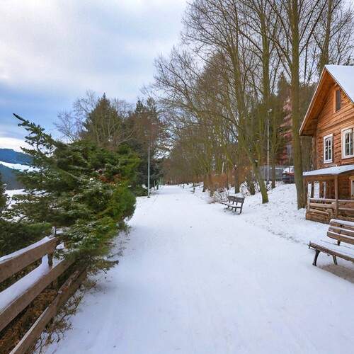 Photo #11862570