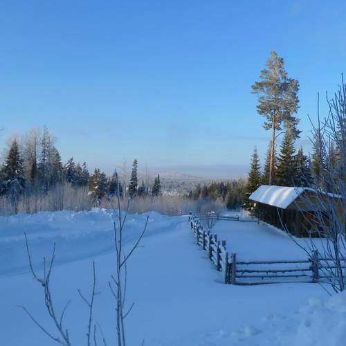 Photo #11862573
