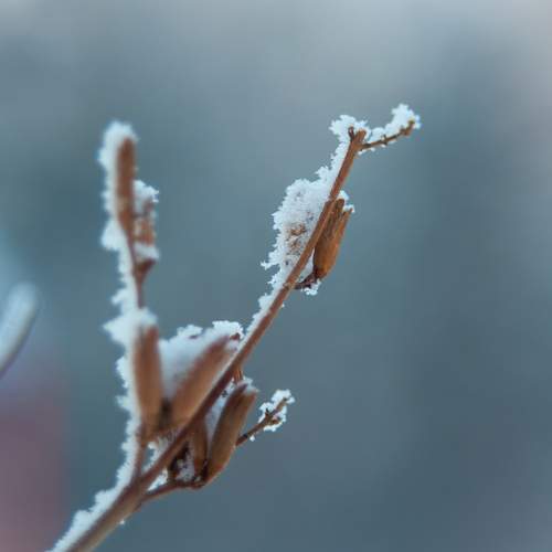 Photo #11862621