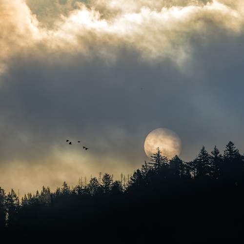 Photo #11862623