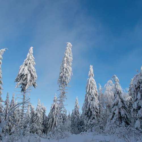 Photo #11862649