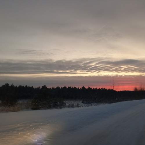Photo #11862812