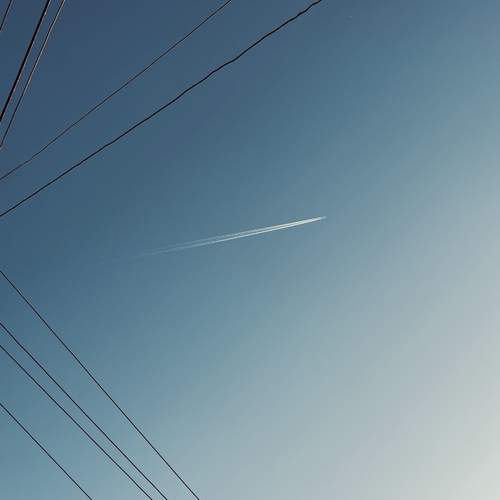 Photo #11863277
