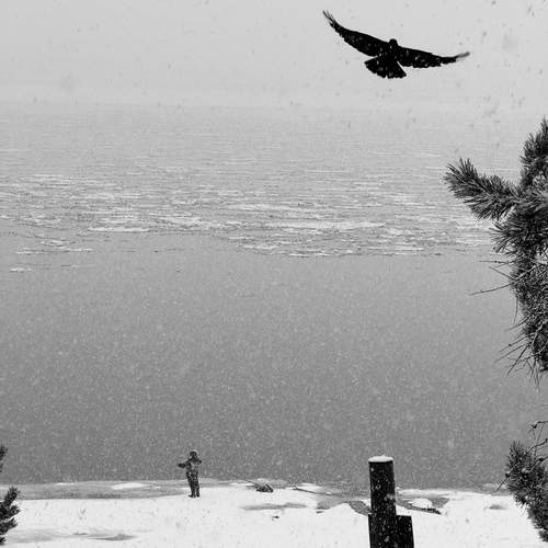 Photo #11863385