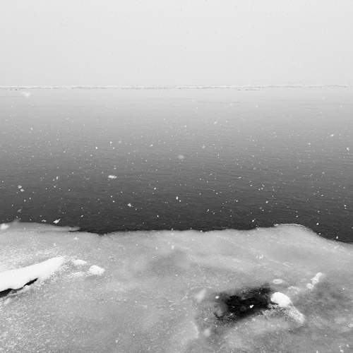 Photo #11863386