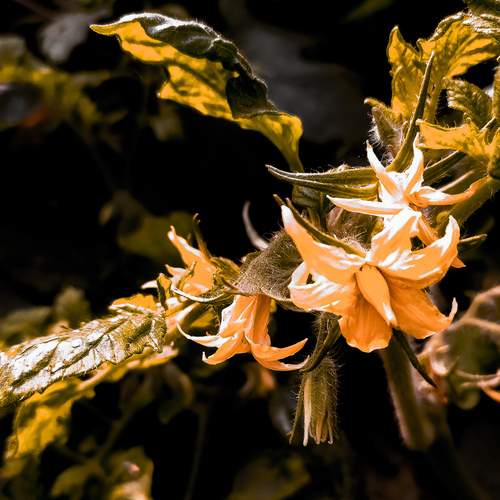 Photo #11863406