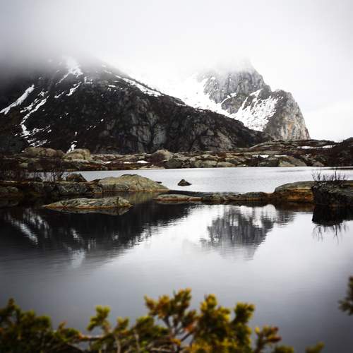 Photo #11863499