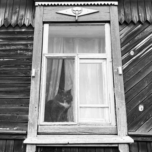 Photo #11863943