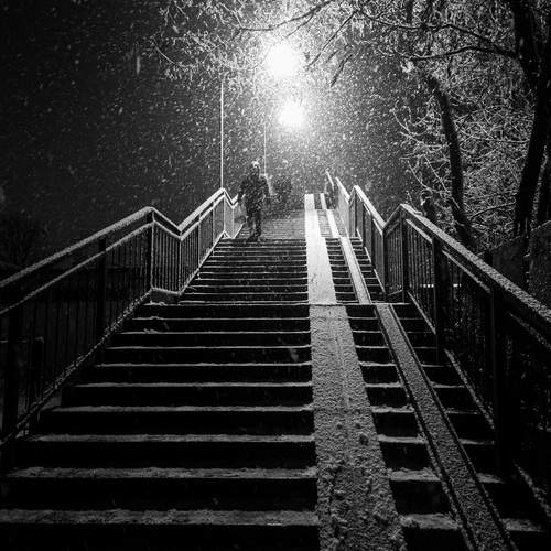 Photo #11863995